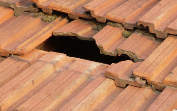 roof repair Tismans Common, West Sussex